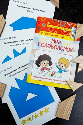 Игровой набор "МИР ГОЛОВОЛОМОК"